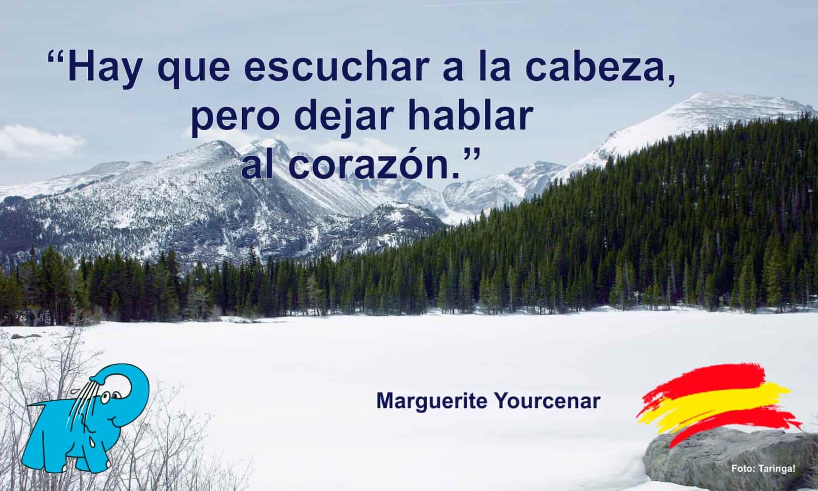 Hay que escuchar a la cabeza, pero dejar hablar al corazón.